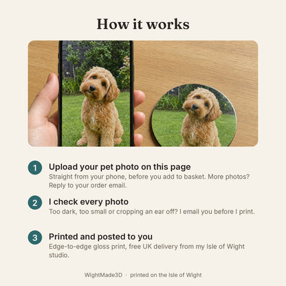 How it works: upload your pet photo, we check it, we print and post