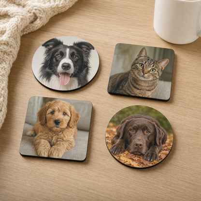 Four pet photo coasters: collie, cat, cockapoo and labrador