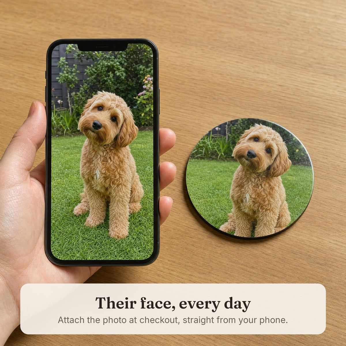 Phone showing a cockapoo photo next to a matching round coaster