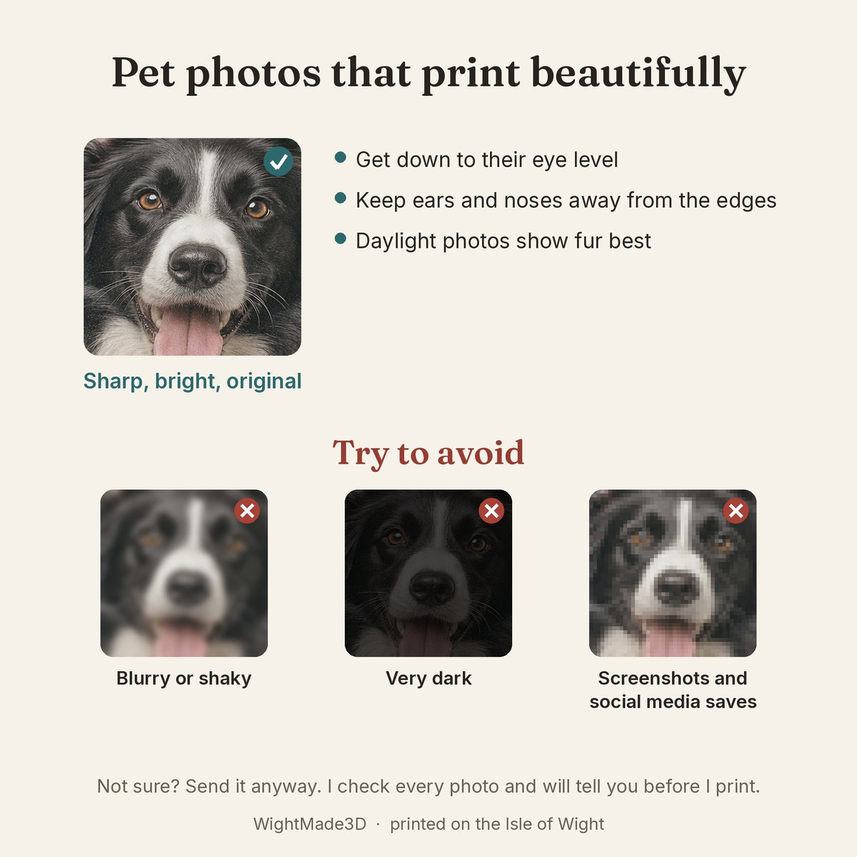 Pet photo tips for the best print