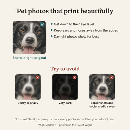 Pet photo tips for the best print