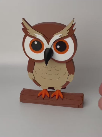Glasses being placed on the Wise Owl Glasses Holder